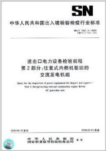 进出口电力设备检验规程