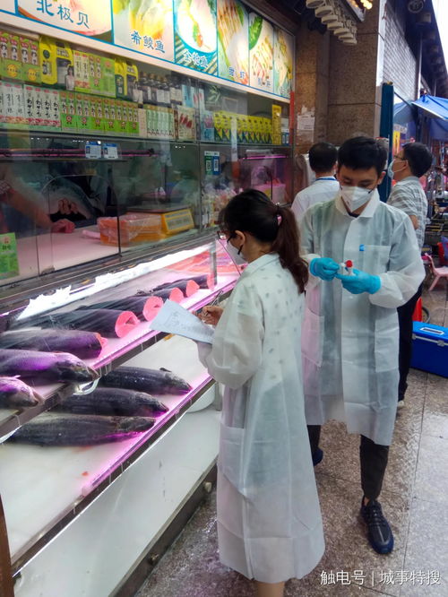 广州疾控抽检进口三文鱼等71个样品,检测结果均为阴性