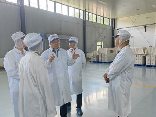 郑州开展小麦粉生产企业专项监督检查 筑牢食品安全防线