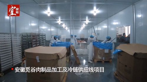 觅谷再添新基地,徽尔食品接受 三看三比 检查