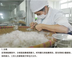 羽绒服检测过程