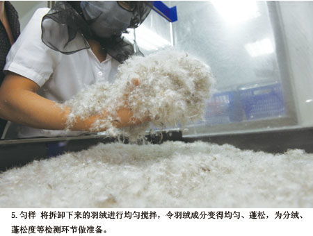 羽绒服检测过程