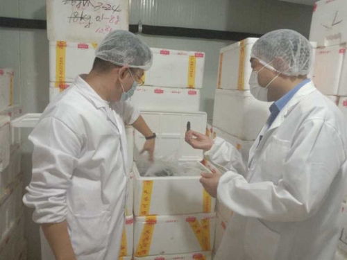 城阳区紧急开展海参加工企业专项检查,全面排查315晚会曝光问题