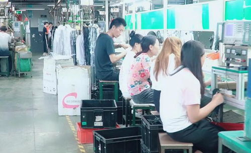 东莞某镇电子厂流水线见闻 质量监督背后的人性之困